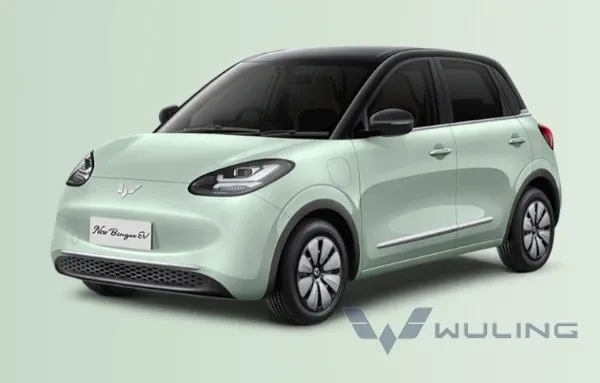 wuling-new-binguo-ev-bogor